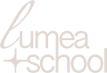 Lumea School